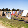 Heavy Duty Clothespins